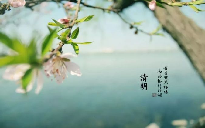 清明 || 雨紛紛，思故人