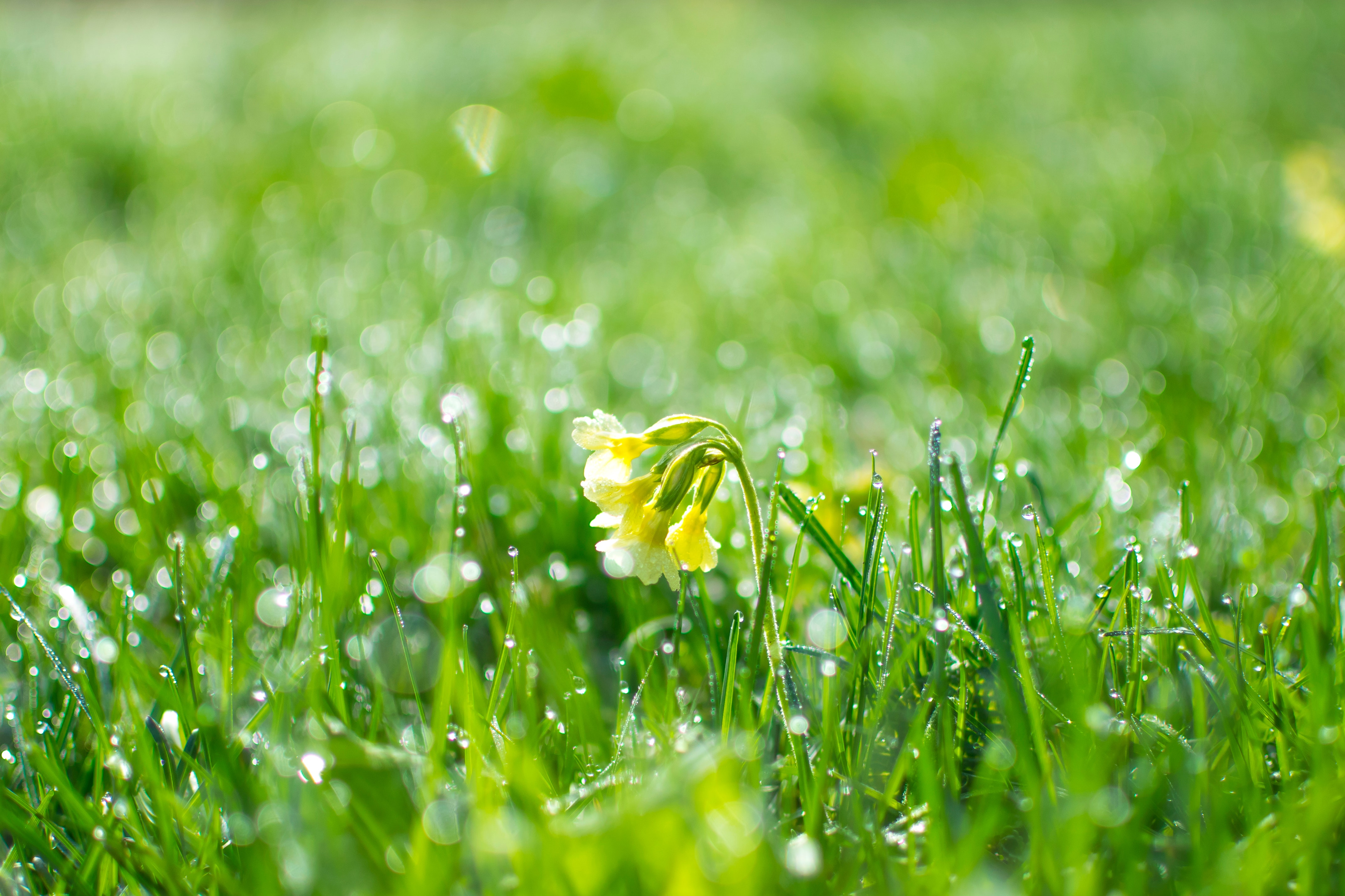 light-nature-water-summer-94847.jpg light-nature-water-summer-94847.jpg