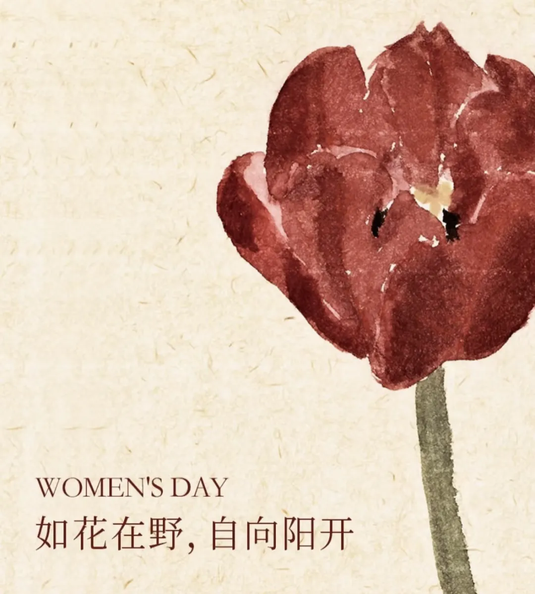 3·8女神節(jié)丨 南北特糕點，獻給每一位甜蜜女神